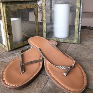 LOFT faux snakeskin sandals